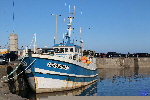 Caseyeur pour la pêche aux tourteaux, araignées, homards ...
